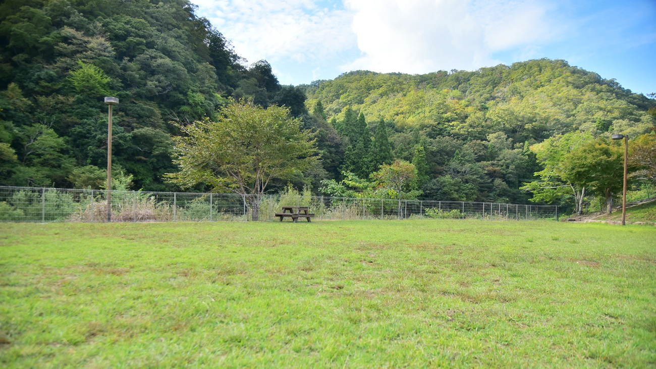 写真：ドッグラン