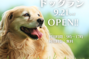 9月21日(土)ドッグランOPEN！