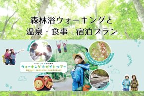 森林浴ウォーキングと君田温泉の食事＆入浴付きプランのお知らせ
