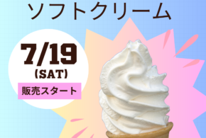 北海道ソフトクリーム販売スタート‼