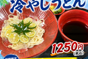 🌿✨ 夏限定の新メニュー登場! ✨🌿