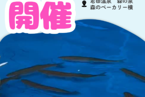 鮎のつかみ取り🐟✨